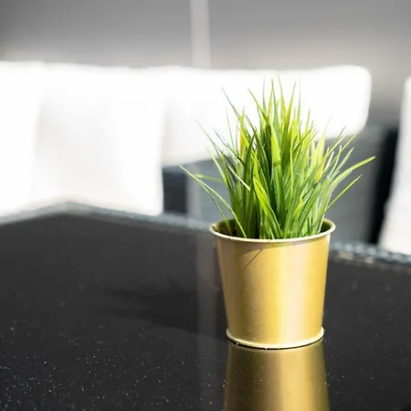 Ultimate Luxury Penthouse - Rooftop Terrace - Air Conditioning - Secure Parking - Long Term Only Birmingam